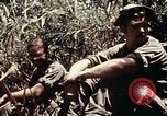 Immagine di 101ª Divisione aviotrasportata Una valle Shau Vietnam, 1971, secondo 41 filmato di repertorio 65675067851