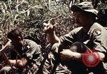 Immagine di 101ª Divisione aviotrasportata Una valle Shau Vietnam, 1971, secondo 43 filmato di repertorio 65675067851