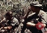 Immagine di 101ª Divisione aviotrasportata Una valle Shau Vietnam, 1971, secondo 44 filmato di repertorio 65675067851