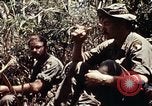 Immagine di 101ª Divisione aviotrasportata Una valle Shau Vietnam, 1971, secondo 45 filmato di repertorio 65675067851