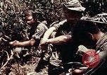 Immagine di 101ª Divisione aviotrasportata Una valle Shau Vietnam, 1971, secondo 51 filmato di repertorio 65675067851