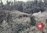 Immagine di 101ª Divisione aviotrasportata Una valle Shau Vietnam, 1971, secondo 57 filmato di repertorio 65675067851