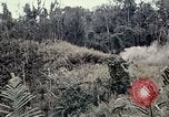 Immagine di 101ª Divisione aviotrasportata Una valle Shau Vietnam, 1971, secondo 59 filmato di repertorio 65675067851