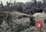 Immagine di 101ª Divisione aviotrasportata Una valle Shau Vietnam, 1971, secondo 60 filmato di repertorio 65675067851