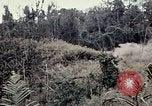 Immagine di 101ª Divisione aviotrasportata Una valle Shau Vietnam, 1971, secondo 61 filmato di repertorio 65675067851