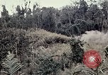Immagine di 101ª Divisione aviotrasportata Una valle Shau Vietnam, 1971, secondo 62 filmato di repertorio 65675067851