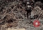 Immagine di 101ª Divisione aviotrasportata Una valle Shau Vietnam, 1971, secondo 23 filmato di repertorio 65675067852
