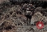 Immagine di 101ª Divisione aviotrasportata Una valle Shau Vietnam, 1971, secondo 24 filmato di repertorio 65675067852