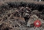 Immagine di 101ª Divisione aviotrasportata Una valle Shau Vietnam, 1971, secondo 25 filmato di repertorio 65675067852