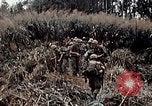 Immagine di 101ª Divisione aviotrasportata Una valle Shau Vietnam, 1971, secondo 26 filmato di repertorio 65675067852