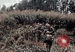 Immagine di 101ª Divisione aviotrasportata Una valle Shau Vietnam, 1971, secondo 27 filmato di repertorio 65675067852