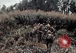Immagine di 101ª Divisione aviotrasportata Una valle Shau Vietnam, 1971, secondo 28 filmato di repertorio 65675067852