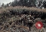 Immagine di 101ª Divisione aviotrasportata Una valle Shau Vietnam, 1971, secondo 29 filmato di repertorio 65675067852