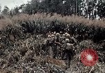Immagine di 101ª Divisione aviotrasportata Una valle Shau Vietnam, 1971, secondo 30 filmato di repertorio 65675067852