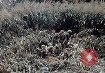 Immagine di 101ª Divisione aviotrasportata Una valle Shau Vietnam, 1971, secondo 32 filmato di repertorio 65675067852
