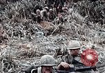 Immagine di 101ª Divisione aviotrasportata Una valle Shau Vietnam, 1971, secondo 35 filmato di repertorio 65675067852