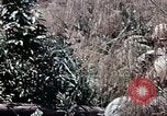 Image of 101st Airborne Division Vietnam, 1971, second 25 stock footage video 65675067854