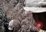 Image of 101st Airborne Division Vietnam, 1971, second 28 stock footage video 65675067854