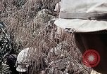 Image of 101st Airborne Division Vietnam, 1971, second 29 stock footage video 65675067854