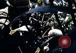 Image of 101st Airborne Division Vietnam, 1971, second 31 stock footage video 65675067854