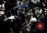 Image of 101st Airborne Division Vietnam, 1971, second 32 stock footage video 65675067854