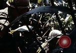 Image of 101st Airborne Division Vietnam, 1971, second 33 stock footage video 65675067854