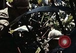Image of 101st Airborne Division Vietnam, 1971, second 34 stock footage video 65675067854