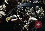 Image of 101st Airborne Division Vietnam, 1971, second 36 stock footage video 65675067854