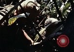 Image of 101st Airborne Division Vietnam, 1971, second 41 stock footage video 65675067854