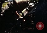 Image of 101st Airborne Division Vietnam, 1971, second 45 stock footage video 65675067854