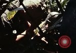 Image of 101st Airborne Division Vietnam, 1971, second 46 stock footage video 65675067854