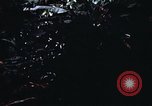 Image of 101st Airborne Division Vietnam, 1971, second 49 stock footage video 65675067854