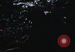 Image of 101st Airborne Division Vietnam, 1971, second 51 stock footage video 65675067854