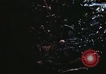 Image of 101st Airborne Division Vietnam, 1971, second 58 stock footage video 65675067854