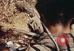 Standbild 101st Airborne Division Vietnam, 1971, aus Sekunde 11 historischem Filmmaterial Videoclip 65675067855