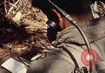 Standbild 101st Airborne Division Vietnam, 1971, aus Sekunde 20 historischem Filmmaterial Videoclip 65675067855