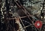 Standbild 101st Airborne Division Vietnam, 1971, aus Sekunde 22 historischem Filmmaterial Videoclip 65675067855