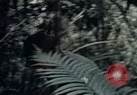 Standbild 101st Airborne Division Vietnam, 1971, aus Sekunde 25 historischem Filmmaterial Videoclip 65675067855