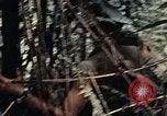 Standbild 101st Airborne Division Vietnam, 1971, aus Sekunde 27 historischem Filmmaterial Videoclip 65675067855