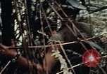 Standbild 101st Airborne Division Vietnam, 1971, aus Sekunde 28 historischem Filmmaterial Videoclip 65675067855