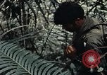 Standbild 101st Airborne Division Vietnam, 1971, aus Sekunde 31 historischem Filmmaterial Videoclip 65675067855