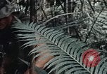 Standbild 101st Airborne Division Vietnam, 1971, aus Sekunde 38 historischem Filmmaterial Videoclip 65675067855