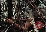 Standbild 101st Airborne Division Vietnam, 1971, aus Sekunde 40 historischem Filmmaterial Videoclip 65675067855
