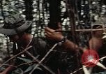 Standbild 101st Airborne Division Vietnam, 1971, aus Sekunde 41 historischem Filmmaterial Videoclip 65675067855