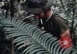 Standbild 101st Airborne Division Vietnam, 1971, aus Sekunde 43 historischem Filmmaterial Videoclip 65675067855