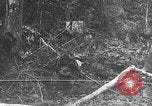 Standbild japanische Truppen Bataan Luzon Philippinen, 1942, aus Sekunde 42 historischem Filmmaterial Videoclip 65675067856