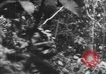 Standbild japanische Truppen Bataan Luzon Philippinen, 1942, aus Sekunde 45 historischem Filmmaterial Videoclip 65675067856