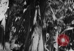 Standbild japanische Truppen Bataan Luzon Philippinen, 1942, aus Sekunde 48 historischem Filmmaterial Videoclip 65675067856