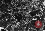 Standbild japanische Truppen Bataan Luzon Philippinen, 1942, aus Sekunde 50 historischem Filmmaterial Videoclip 65675067856