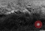 Standbild japanische Truppen Corregidor Island Philippinen, 1942, aus Sekunde 32 historischem Filmmaterial Videoclip 65675067857